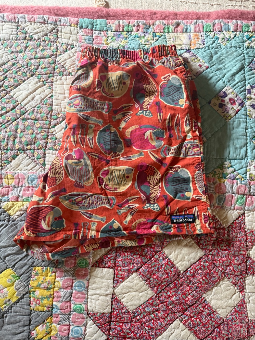 Patagonia Women's Coral Wrasse Fish-Print Elastic Waist Shorts - Picture 4 of 4